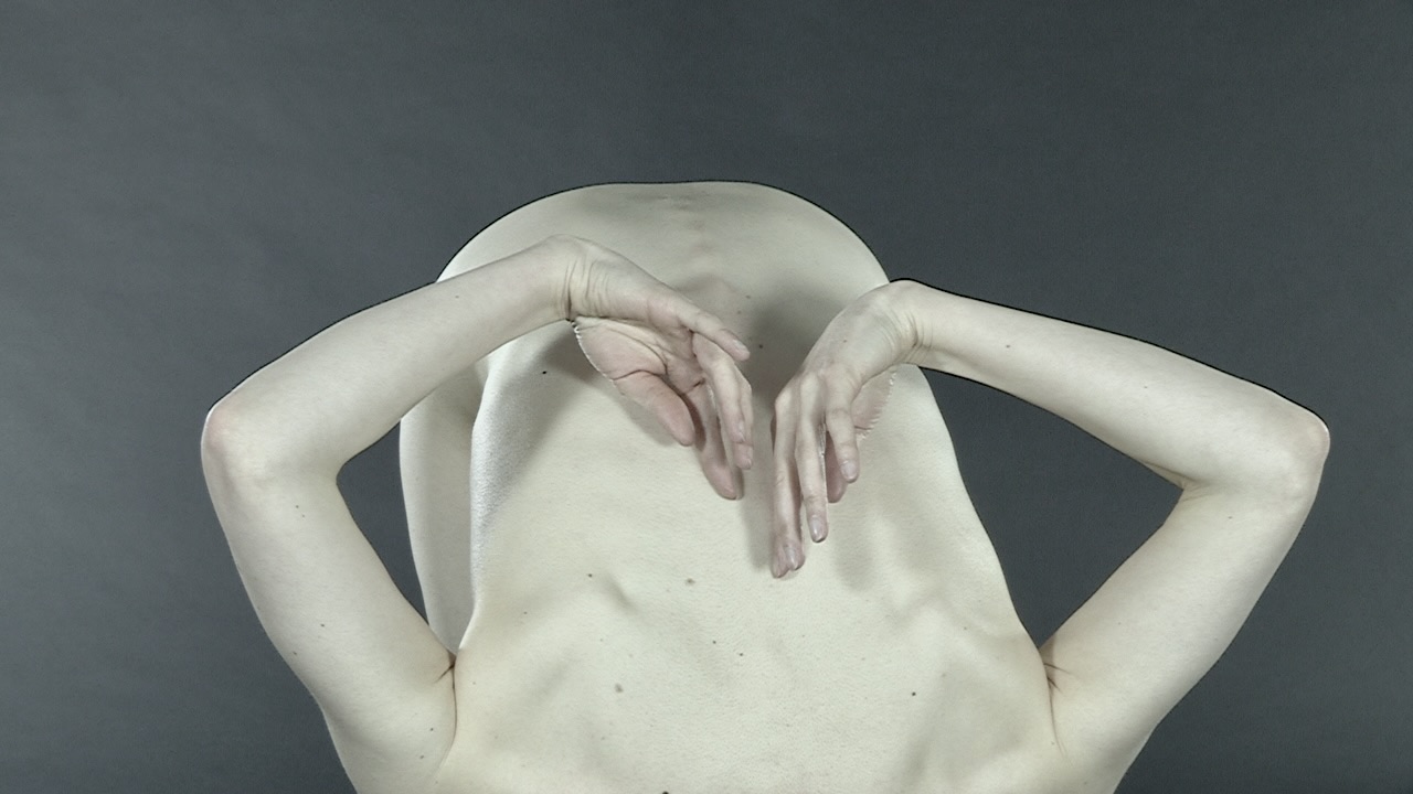 Kinesthetic Universe II